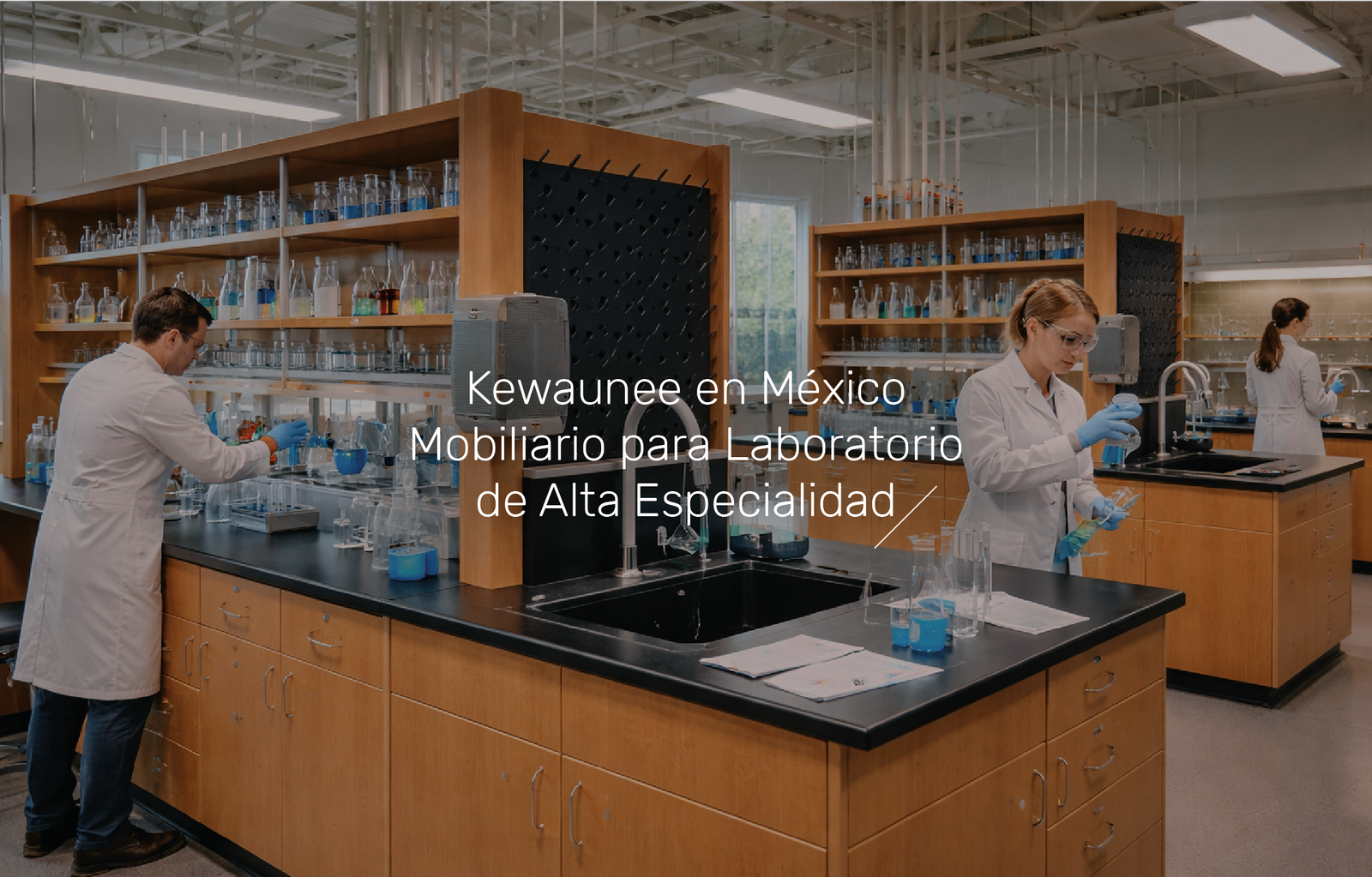 Pagina Web Kewaunee 1_Mesa de trabajo 1